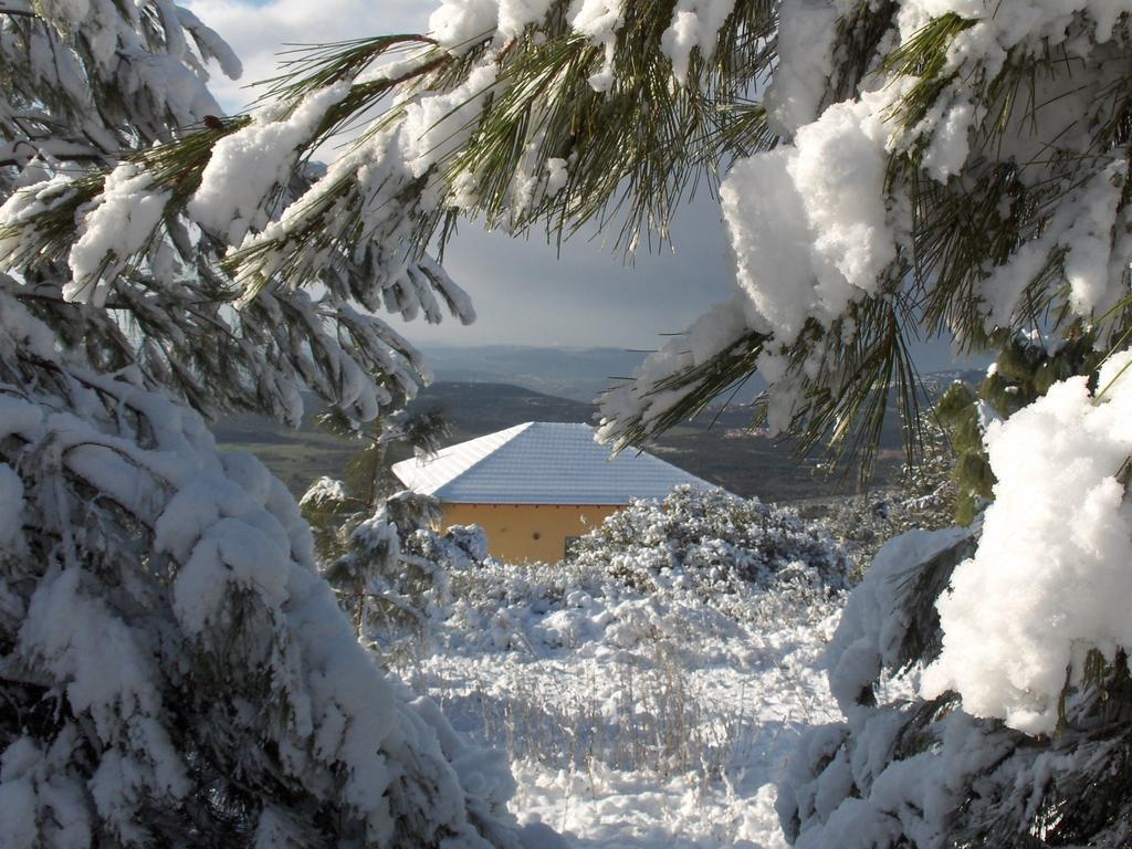 First Light Cabins Amirim Esterno foto